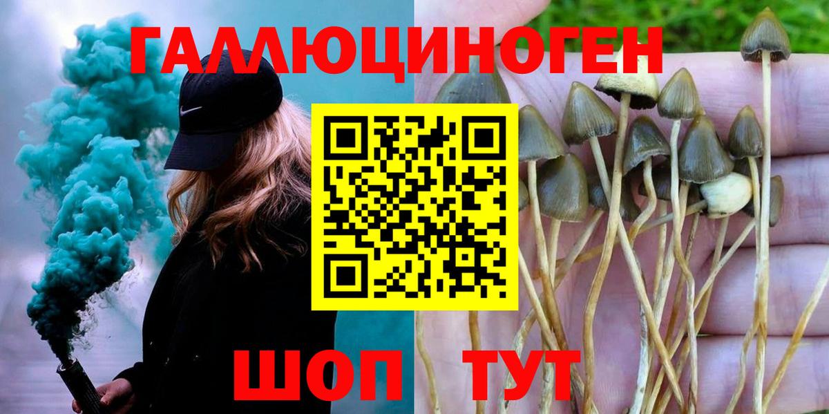 Галлюциногенные грибы мицелий  Вход с VPN  цена   Псилоцибиновые грибы Magic Shrooms  Сургут 